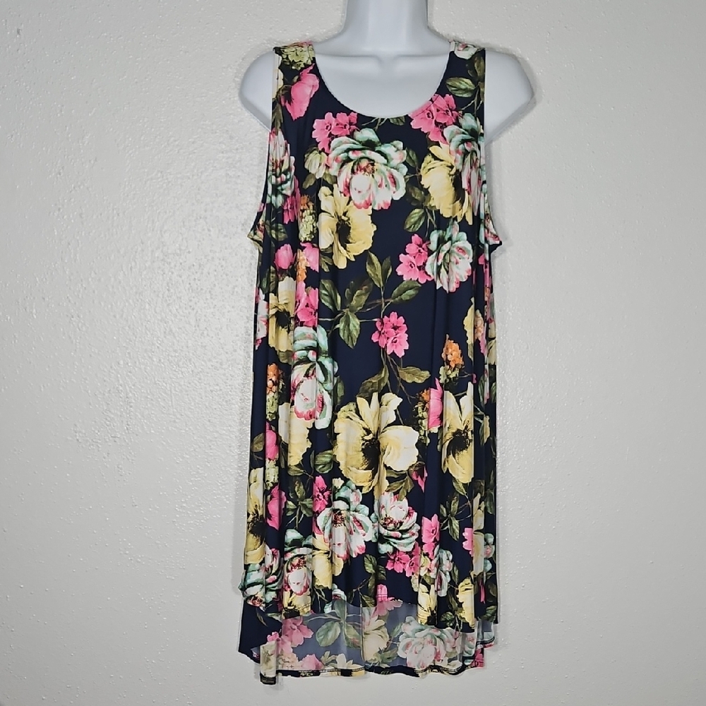 The Zig Zag Stripe Roses Floral Sleeveless Dress 2XL